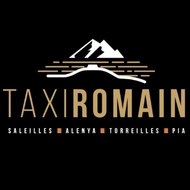 Logo footer - Taxi Romain